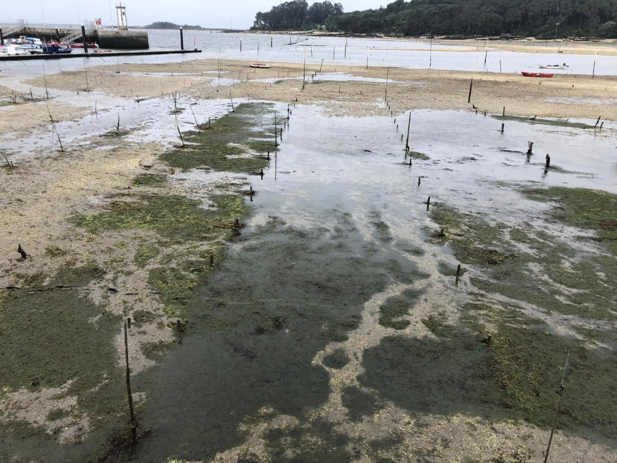 Alojamientos Rias Baixas- Casa Castillejos- Carril บิลาการ์เซีย เด อาโรว์ซา ภายนอก รูปภาพ